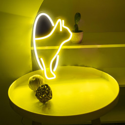 Peeking Cat Head Neon Sign Funny Wall Decor for Cat Lovers Kidsroom Decor Dorms Decor Cat Art for Home Decor Valentine Gift for Her