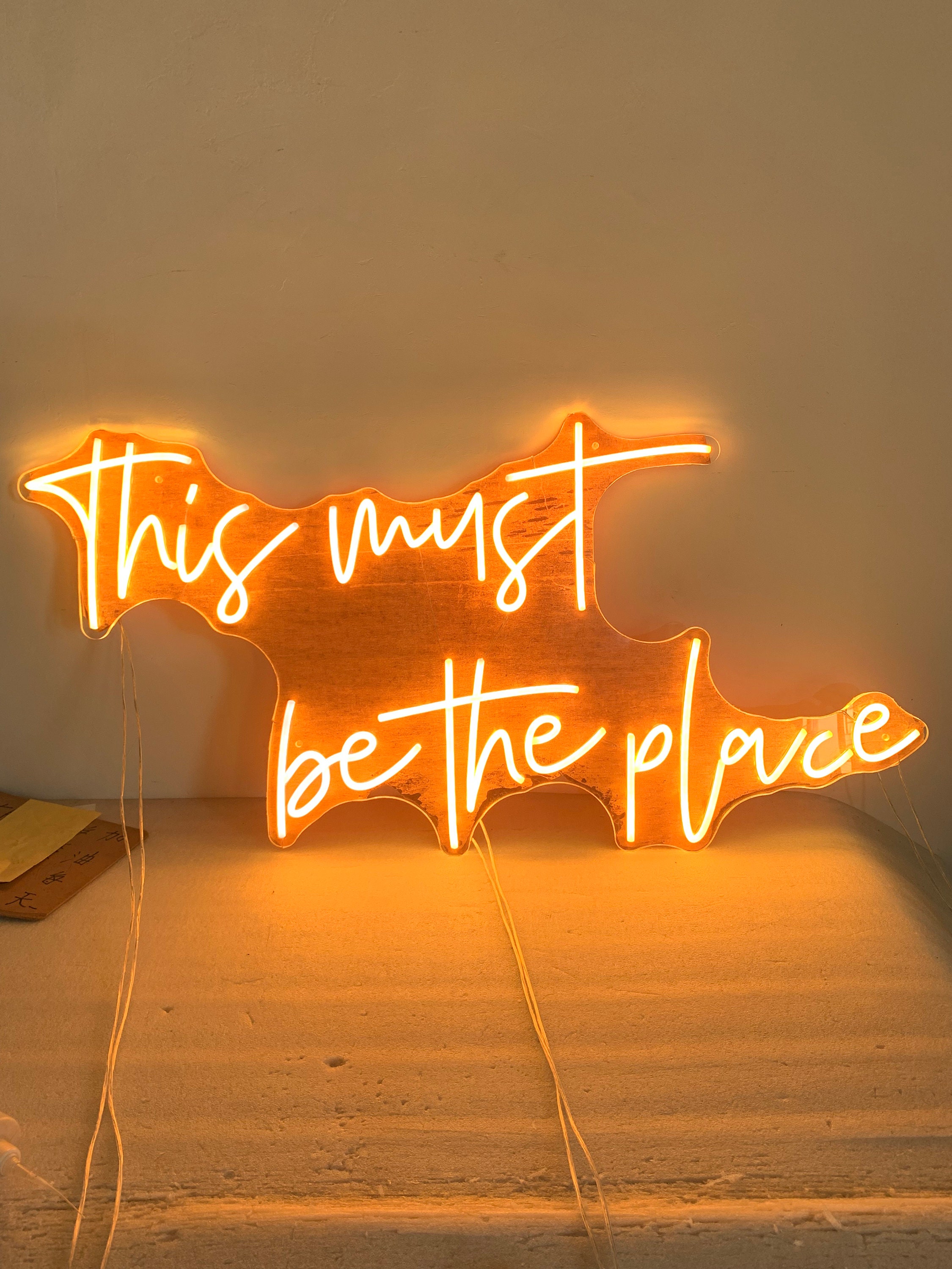 Custom RGB Neon Sign, Custom RGB Sign, RGB Color Changing Custom Neon Sign