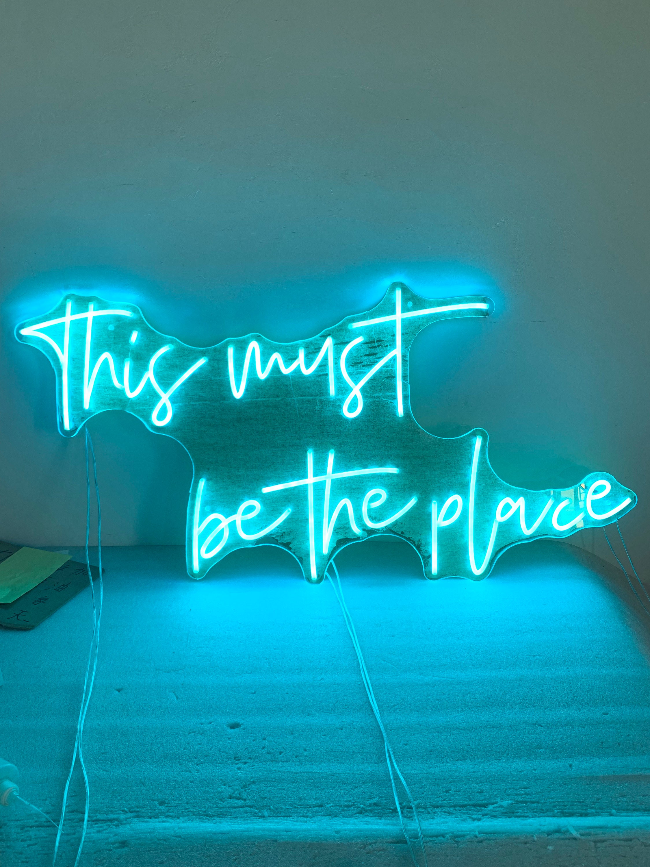 Custom RGB Neon Sign, Custom RGB Sign, RGB Color Changing Custom Neon Sign