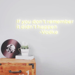 If you don't remember it didn't happen Vodka Custom Neon Sign for Vodka Wall, Vodka Room Personalized Neon Sign, Vodka Red LED Light Source