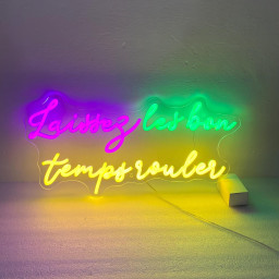 Laissez Les Bon Temps Rouler Neon Sign, Mardi Gras Season Wall Decor Decor, Mardi Gras Themed Celebration Wall Backdrop Decor