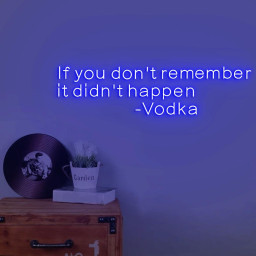 If you don't remember it didn't happen Vodka Custom Neon Sign for Vodka Wall, Vodka Room Personalized Neon Sign, Vodka Red LED Light Source