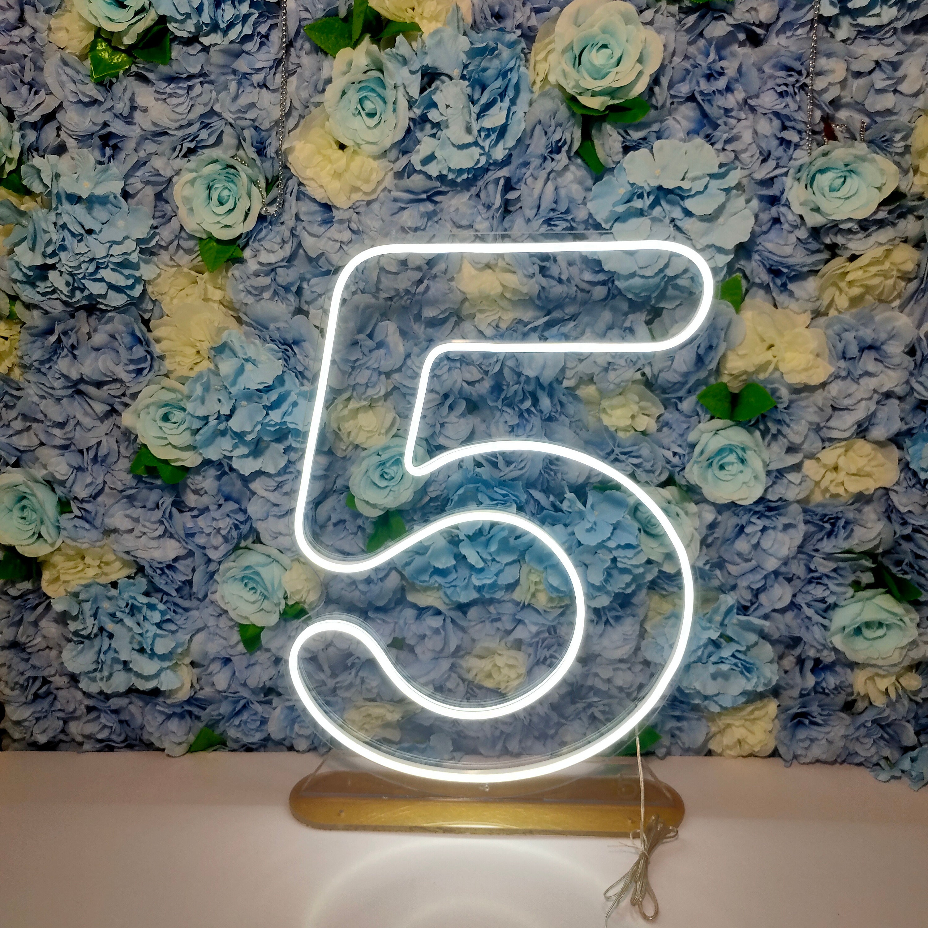 21 Neon Signs,Neon Sign Custom, Twenty One Birthday Decor ,Digital neon lights ,Birthday party event decoration , Room Wall Decoration