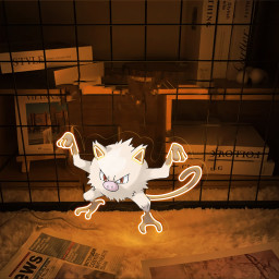 Pokemon Mankey UV Signs