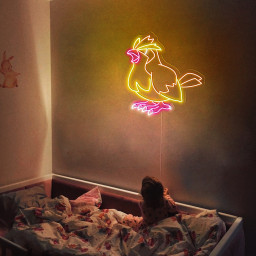 Pidgey Neon Signs Pokemon Wall Art