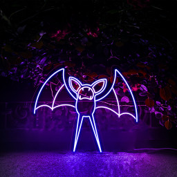 Pokemon Zubat Neon Signs