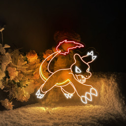 Pokemon Charmeleon Neon Signs Anime Wall Art Decor