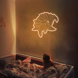 Pokemon Sandslash Laser Signs