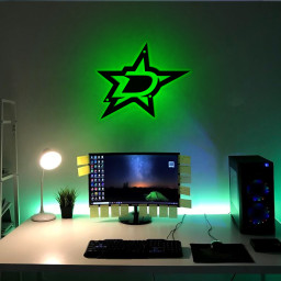 Ice Hockey Dallas Stars Metal Signs