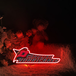 Carolina Hurricanes Ice Hockey UV Signs