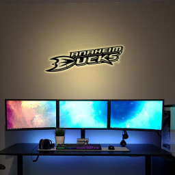 Ice Hockey Anaheim Ducks Metal Signs