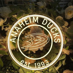 Anaheim Ducks Ice Hockey Laser Sign