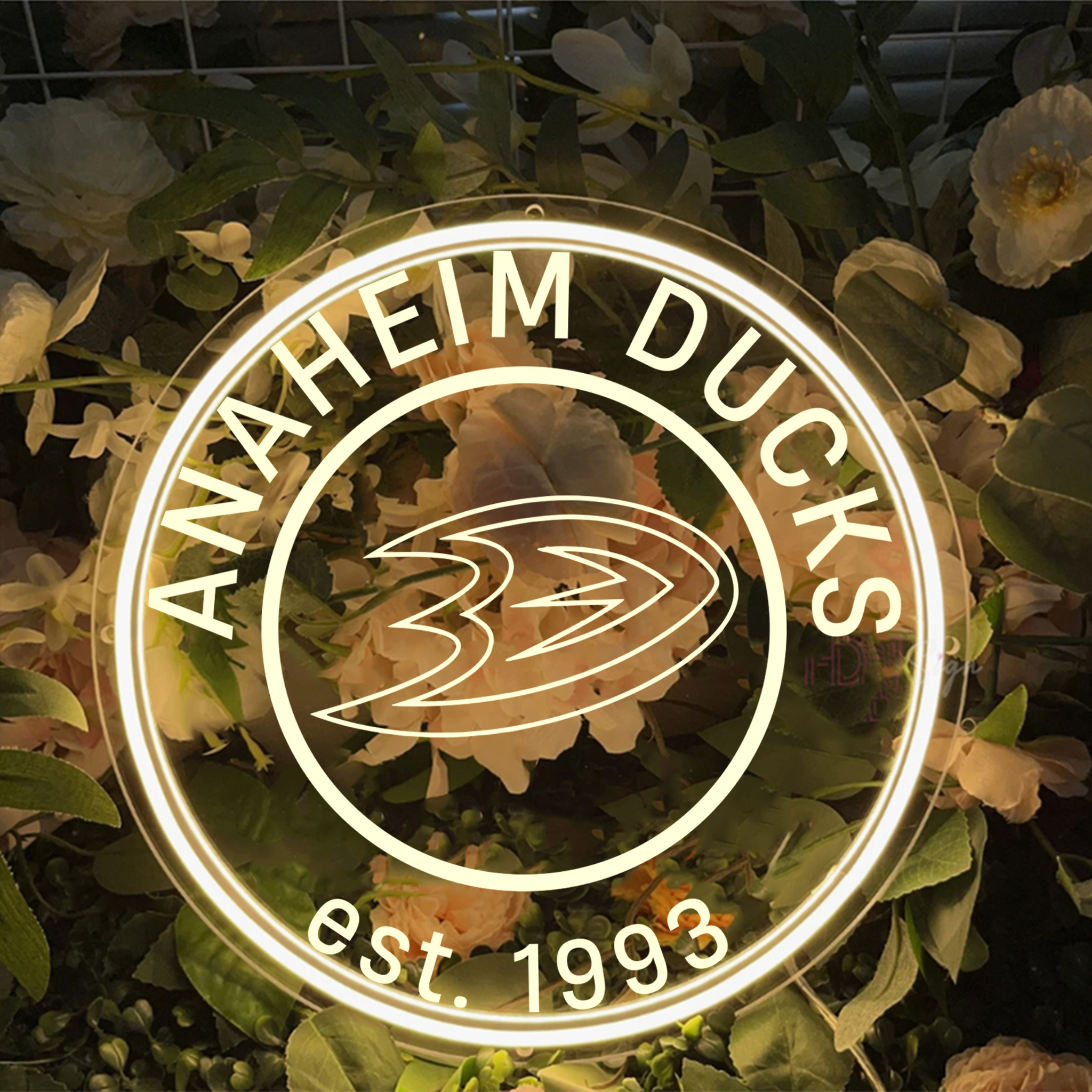 Anaheim Ducks Ice Hockey Laser Sign