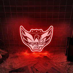 Ice Hockey Washington Capitals Metal Signs