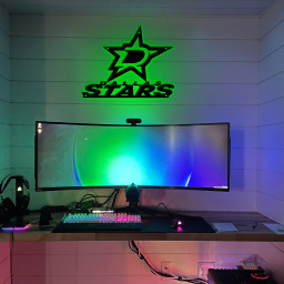 Ice Hockey Dallas Stars Metal Sign
