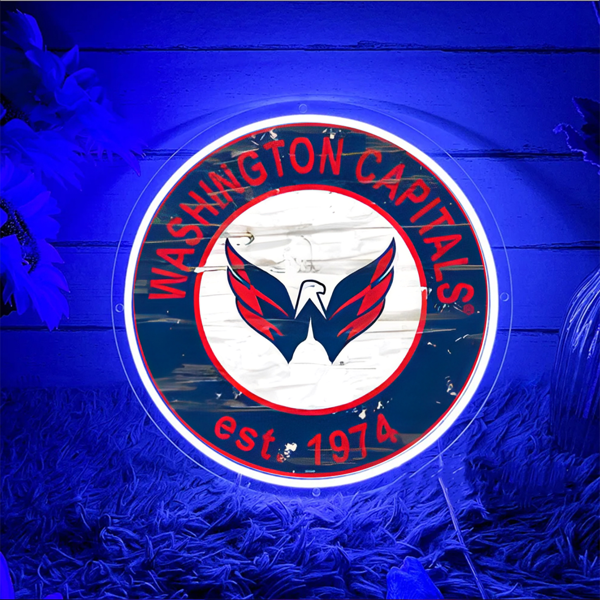 Washington Capitals Ice Hockey UV Signs