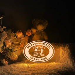 Ice Hockey Anaheim Ducks Laser Sign