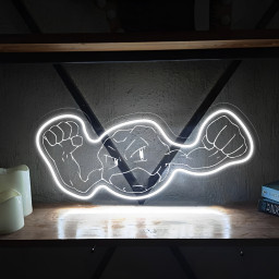 Pokemon Geodude Laser Signs
