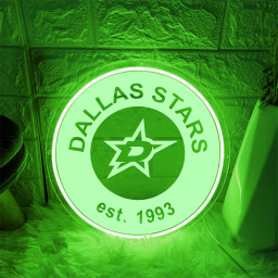 Dallas Stars Ice Hockey Laser Signs Wall Decor