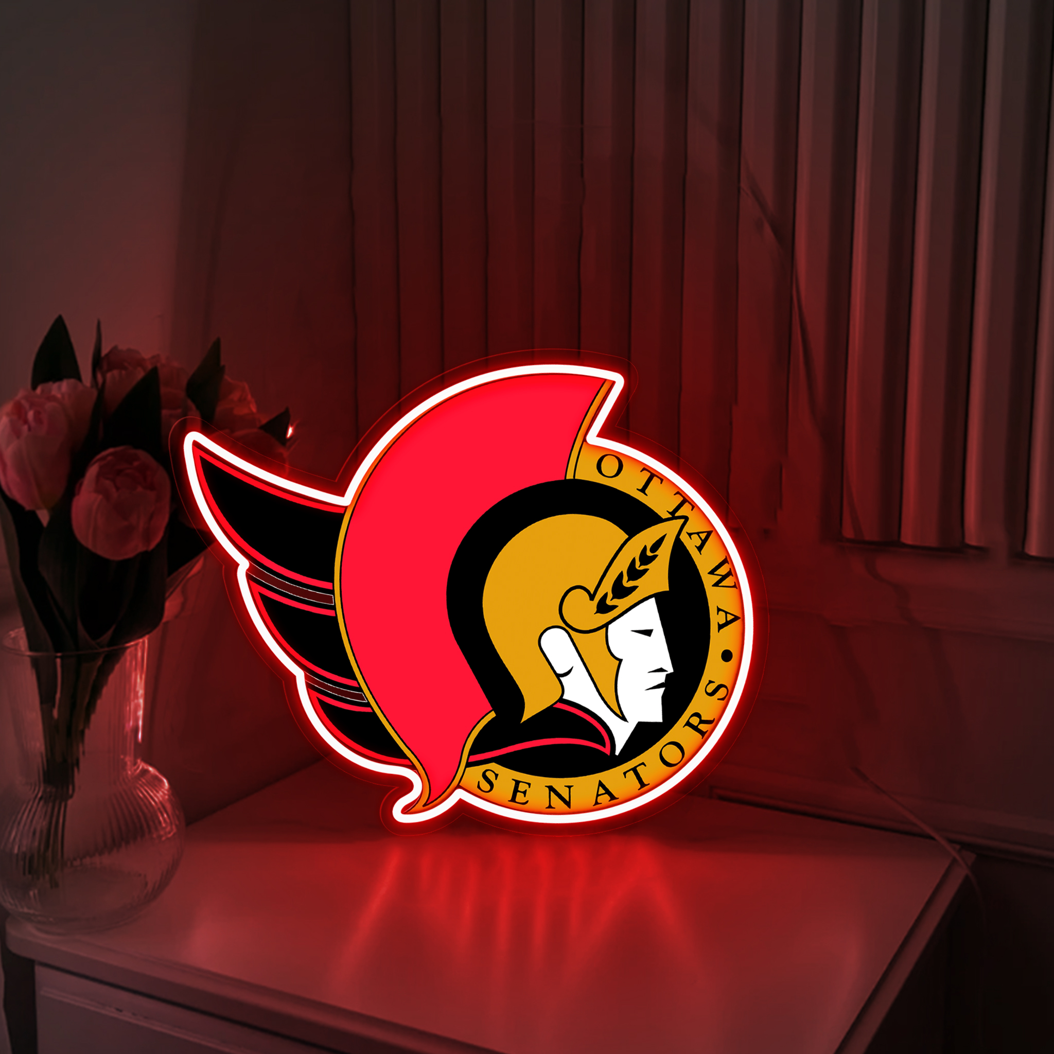 Ice Hockey Ottawa Senators UV Signs