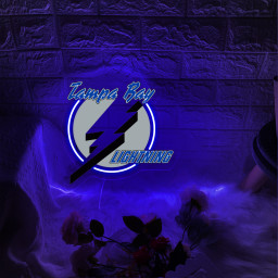 Ice Hockey Tampa Bay Lightning UV Signs Wall Decor