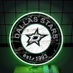 Dallas Stars Ice Hockey UV Signs Wall Decor