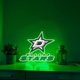Ice Hockey Dallas Stars UV Sign