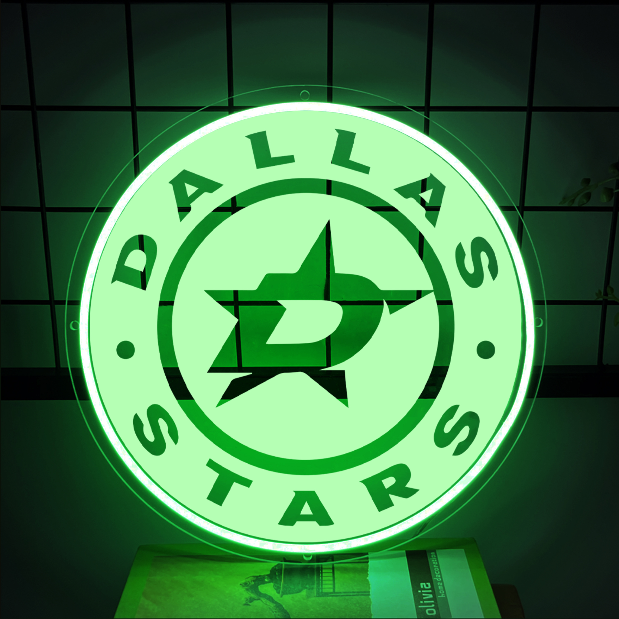 Dallas Stars Ice Hockey Laser Signs