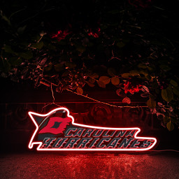 Carolina Hurricanes Ice Hockey UV Signs