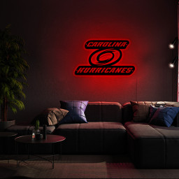 Carolina Hurricanes Ice Hockey Metal Signs Wall Decor
