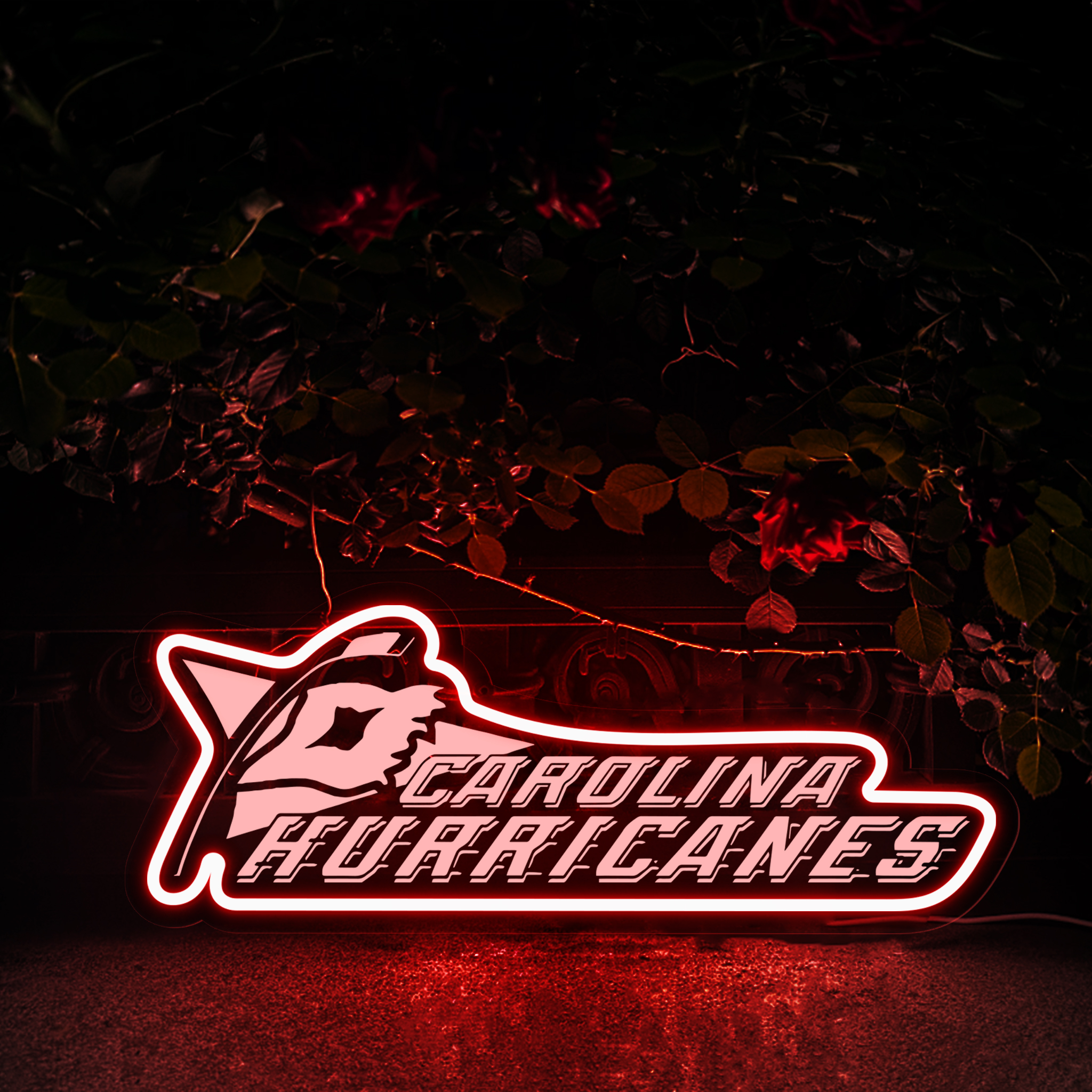 Carolina Hurricanes Ice Hockey Laser Signs