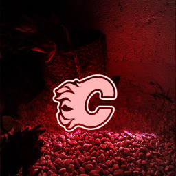 Calgary Flames Ice Hockey Laser Signs