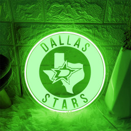 Dallas Stars Ice Hockey Laser Sign