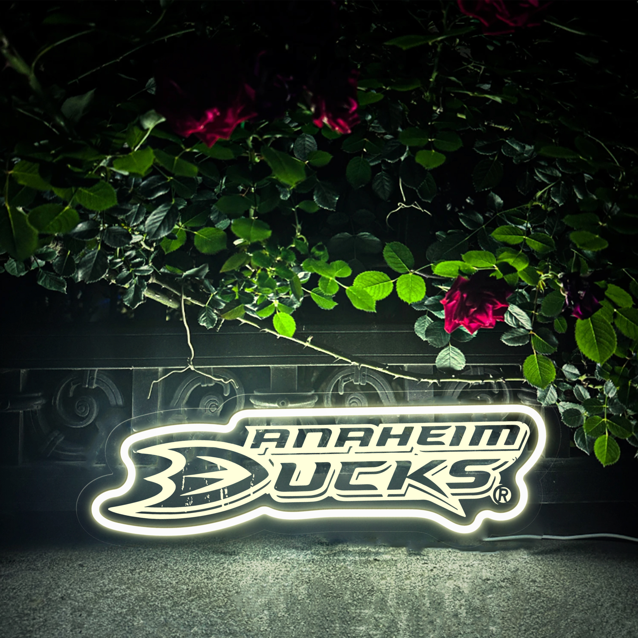 Ice Hockey Anaheim Ducks Laser Signs