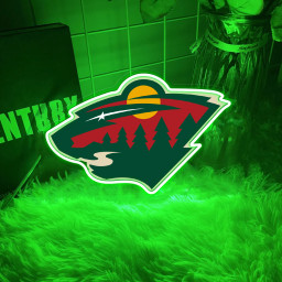 Ice Hockey Minnesota Wild UV Signs