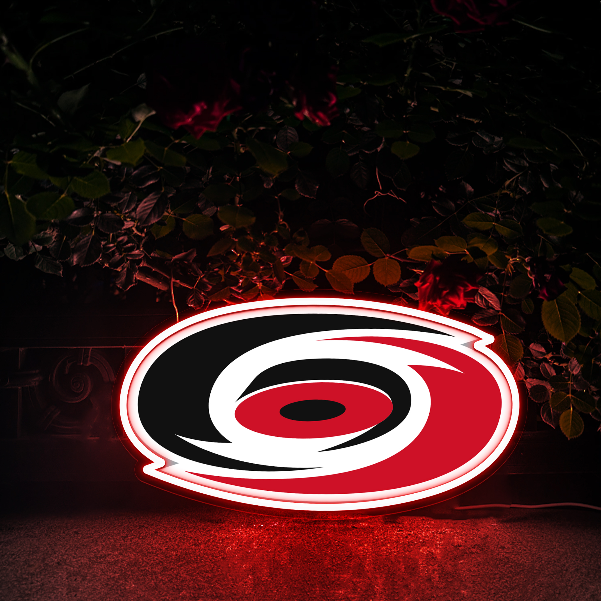 Ice Hockey Carolina Hurricanes UV Signs