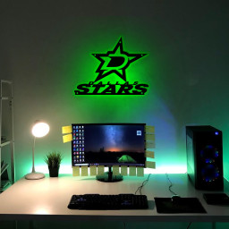 Ice Hockey Dallas Stars Metal Sign