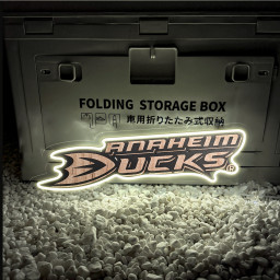 Ice Hockey Anaheim Ducks UV Signs