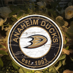 Anaheim Ducks Ice Hockey UV Sign