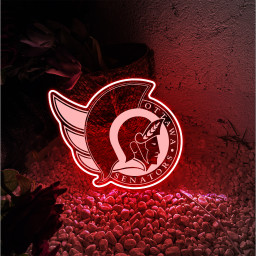 Ice Hockey Ottawa Senators Laser Signs
