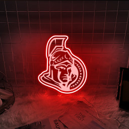 Ottawa Senators Ice Hockey Laser Signs