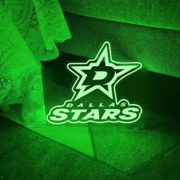 Ice Hockey Dallas Stars Laser Sign