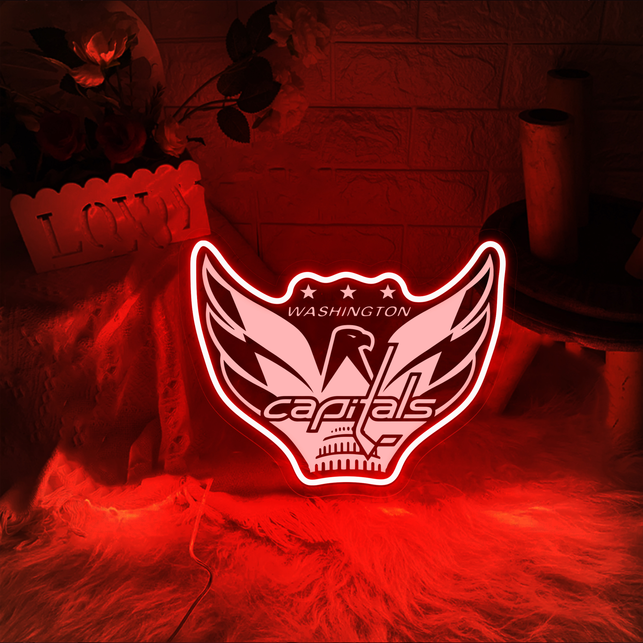 Ice Hockey Washington Capitals Metal Signs
