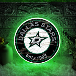 Dallas Stars Ice Hockey UV Signs Wall Decor
