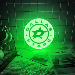 Dallas Stars Ice Hockey Laser Signs