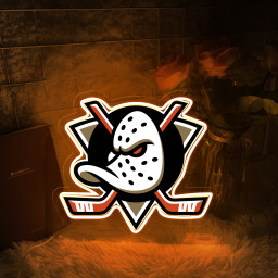 Anaheim Ducks Ice Hockey UV Signs