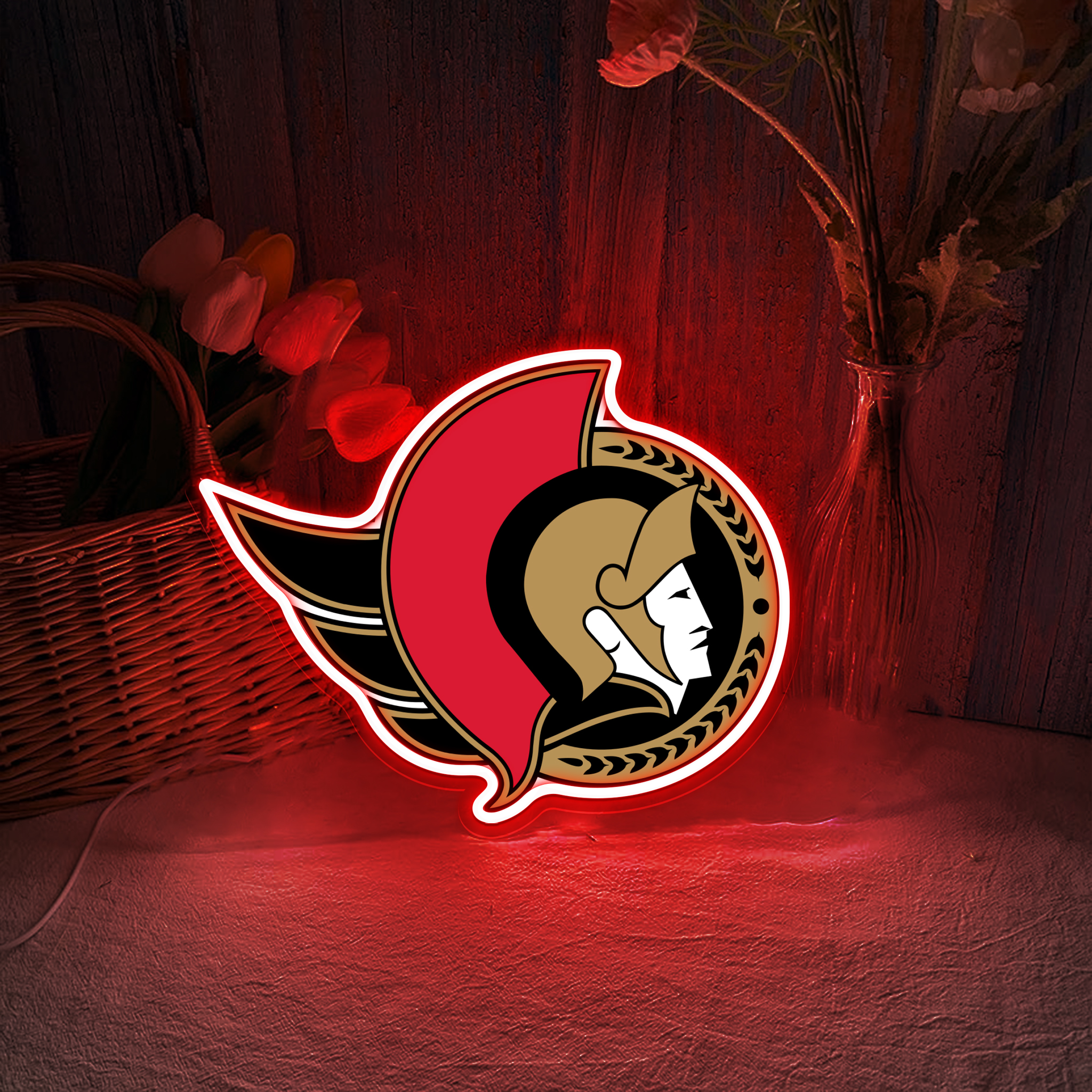 Ottawa Senators Ice Hockey UV Sign
