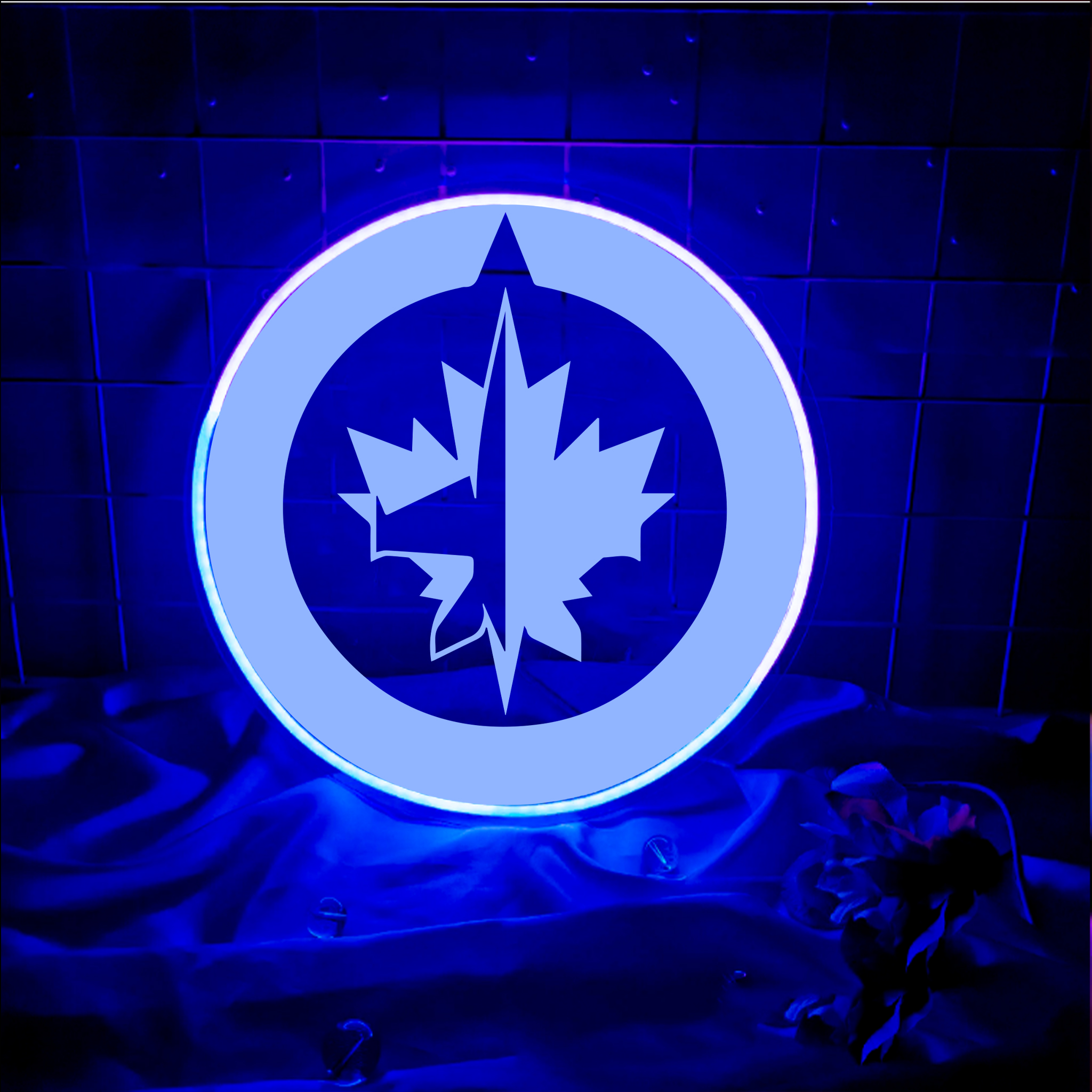 Winnipeg Jets Ice Hockey Laser Signs