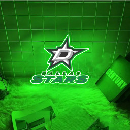 Ice Hockey Dallas Stars UV Sign