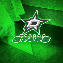 Ice Hockey Dallas Stars UV Sign